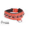 Avalon - WORSHIP - Collar med spisse nagler, ringer og D-ring - Rød og sort