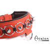 Avalon - WORSHIP - Collar med spisse nagler, ringer og D-ring - Rød og sort