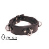 Avalon - VICTORY - Enkelt Collar med D-ringer og polstring - Sort og Rød