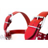 Avalon - BLAZON - Harness Rød Avalon - BLAZON - Harness Rød
