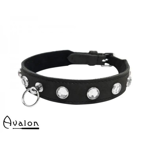 Avalon - DEVOTION - Collar med Blanke Stener og O-ring Avalon - DEVOTION - Collar med Blanke Stener og O-ring