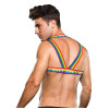 Envy - Pride Harness - S/M