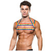 Envy - Pride Harness - S/M