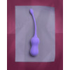 Loveline - Vibrating Egg with Remote Control - Lavendel