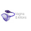 Klitoris & Vagina