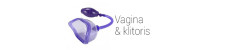 Klitoris & Vagina