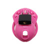 The Vice Micro - Chastity Set - Kuklås sett - Rosa