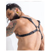 H4rness C4M - Party Harness - Sort