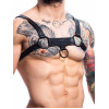 H4rness C4M - Party Harness - Sort