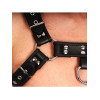 Red Leather - Harness i lær - Sort S/M