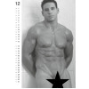 Kalender 2027 - Real Cocks