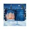Satisfyer Deluxe Adventskalender 