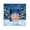 Satisfyer Deluxe Adventskalender 