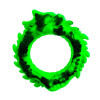 Beasty Cocks - Dragon loop - penisring - Grønn Beasty Cocks - Dragon loop - penisring - Grønn